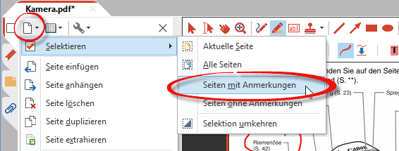 Seiten mit Anmerkungen selektieren