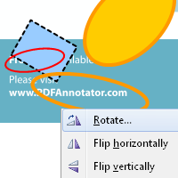 Rotate and Flip Annotations