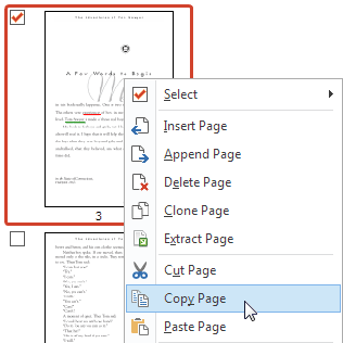 Copier et coller des pages