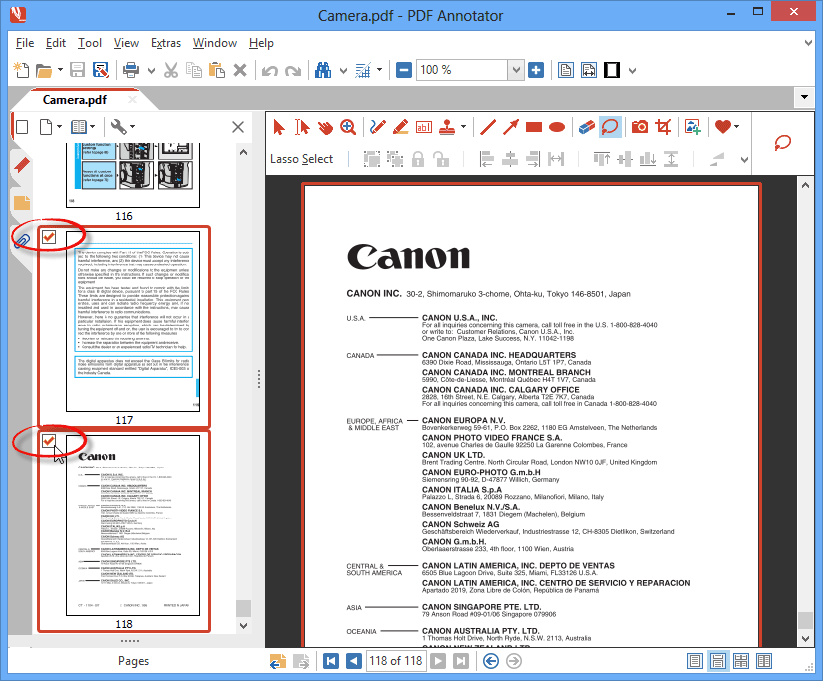 Pages from pdf delete