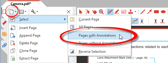 Select only pages with annotations