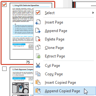 Insert or Append Copied Pages