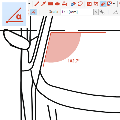 Measure Angles